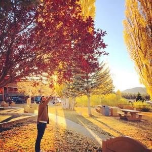 Meet your Posher, Humam